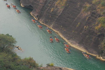 俄罗斯怎么可能有桉树