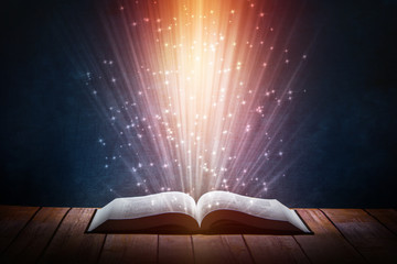 小驳骨有什么功效？