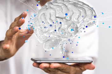 俄罗斯怎么可能有桉树