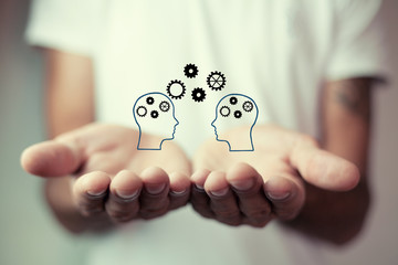 俄罗斯怎么可能有桉树