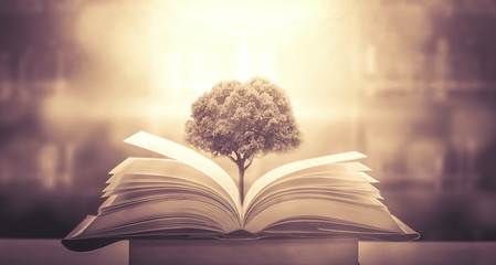 建筑工程里的 英语有哪些？