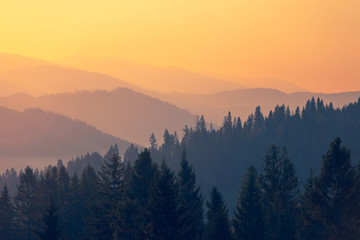 原神教令院小问题隐藏成就