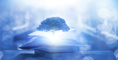 医院活动策划方案