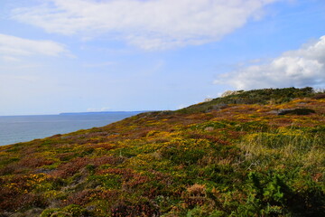 医院活动策划方案