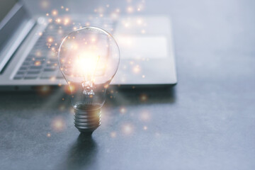 俄罗斯怎么可能有桉树