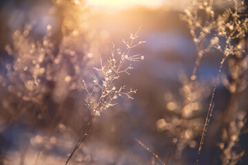 医院活动策划方案