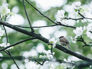 迈锐宝为什么比君威便宜？