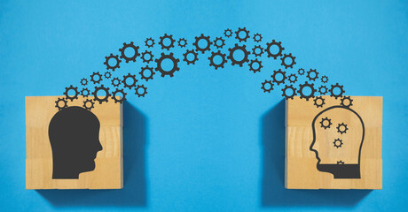 小驳骨有什么功效？