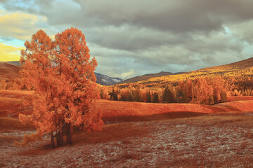 建筑工程里的 英语有哪些？