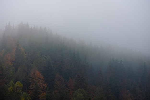 医院活动策划方案