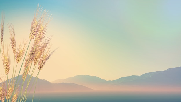 小驳骨有什么功效？