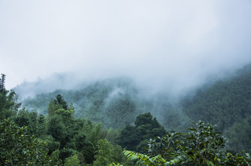 原神教令院小问题隐藏成就
